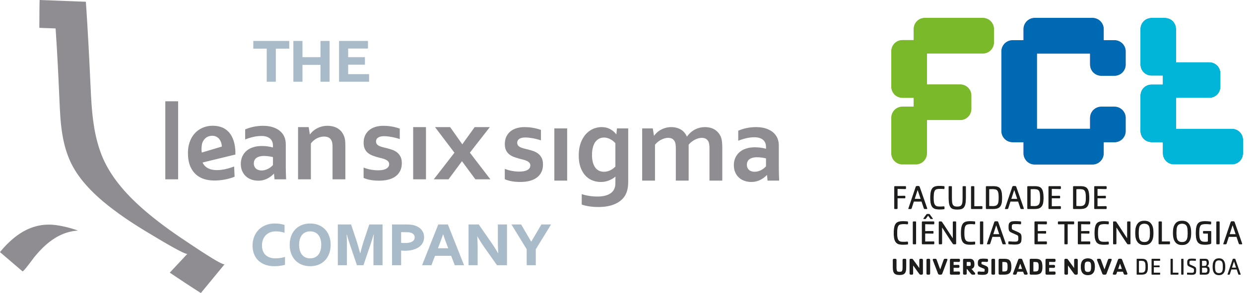 What Is Lean Six Sigma Theleansixsigmacompanypten