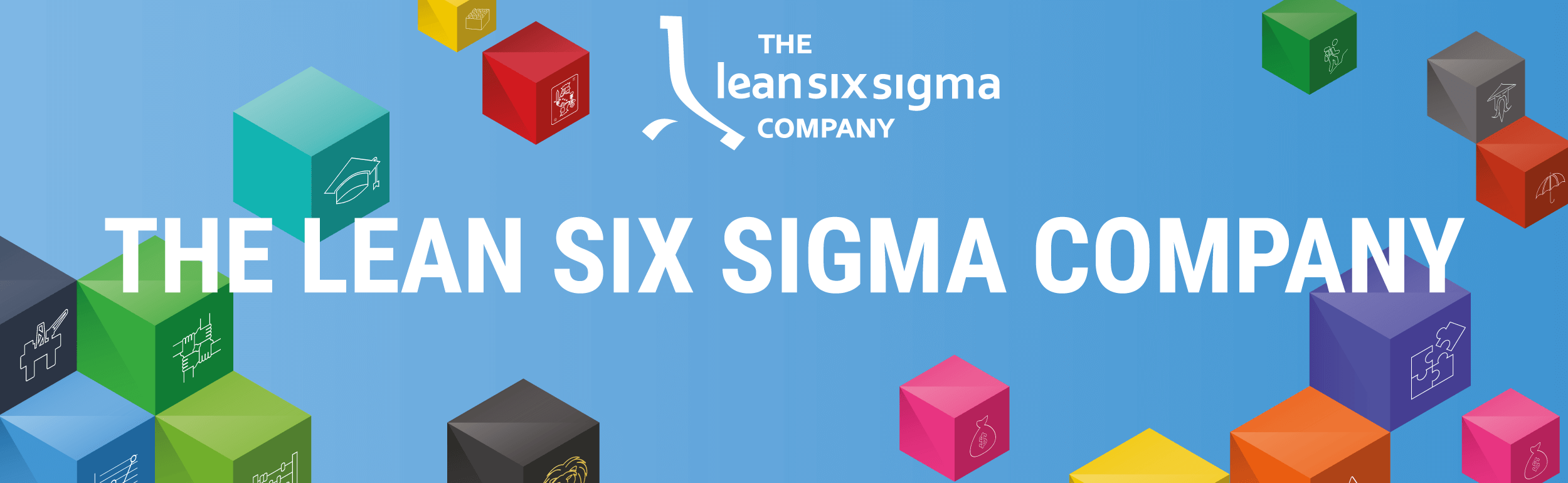 leansixsigma - The Lean Six Sigma Company